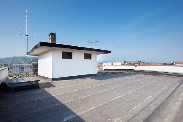 Modernized Appeal of Flat Top Roofs in Goshen