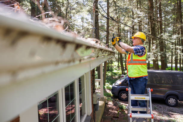 Signs You Need Roof Damage Inspections Services in Goshen