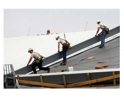 Looking for Expert TPO Roof Services for Office in Goshen, KY?