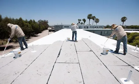 TPO/PVC Roofing Services